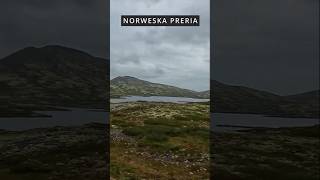 Kierujemy się na południe Wąwóz Mågålaupet i Norweska Preria campertrip norway travel [upl. by Eirbua]