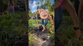 satisfying agriculture farming agricultureonyourhand farmer mydiyfarming farming101 shorts [upl. by Herminia]