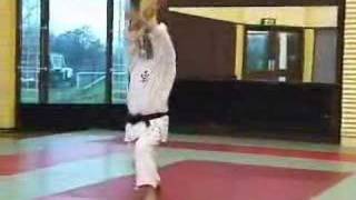 Wado Ryu Karate Kata Pinan Godan [upl. by Hoffer]