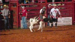 Jr Rodeo calf steer and bullriding [upl. by Yspyg]