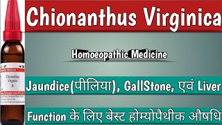 Chionanthus Virginica Q  Use for Jaundice Migraine GallStone Homoeopathicvines [upl. by Supple977]