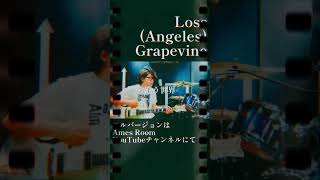 LossAngeles  grapevine フルバージョンはチャンネルTOPから！ 弾き語り ホワイトファルコン 歌ってみた grapevine [upl. by Assirat]