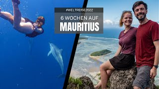 6 Wochen auf Mauritius Schnorcheln Wandern das Leben Genießen im Indischen Ozean [upl. by Kitrak80]