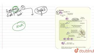 Explain the process of replication of a retrovirus after it gains entry into the human body [upl. by Atiuqrahs]