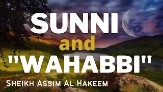 Difference between Sunni and Wahabi  Sheikh Assim Al Hakeem JAL [upl. by Mair]