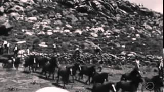 CABALOS SALVAXES EN TORROÑA 1952 [upl. by Alis]