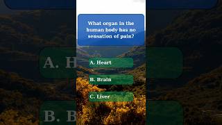 General knowledge quiz part 47 generalknowledge generalknowledgequiz challenge quiz nature [upl. by Carlyn]