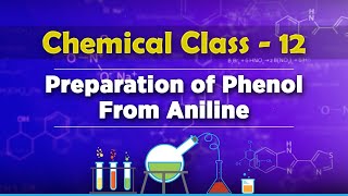 Preparation of Phenol From Aniline  Alcohols Phenols and Ethers  Chemistry Class 12 [upl. by Azelea617]