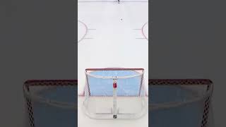 GOALIE GOAL ALERT hockey nhl playoffs minnesota stlouis blues edmontonoilers mcdavid [upl. by Bunch402]