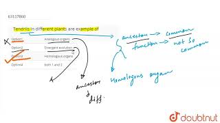 Tendrils in different plants are example of [upl. by Lemaceon]