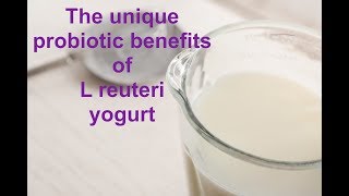 The unique probiotic benefits of L reuteri yogurt [upl. by Marlane]