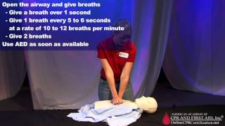 Adult CPR Training Video  How to Do CPR [upl. by Georgeanne760]