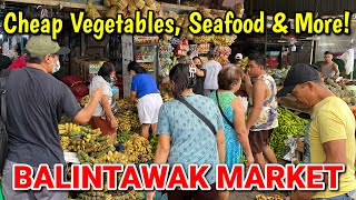 BALINTAWAK MARKET 2023 Palengke Tour  Cheap Vegetables Seafood Fruits amp More in Metro Manila [upl. by Martinsen]