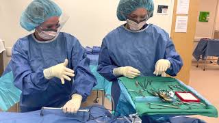 Basic Surgical Instrument Passing part 2 of 2 [upl. by Dinin]