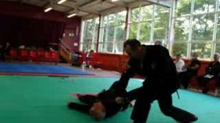 Ballinteer Kenpo Inter Club Championships 2008 [upl. by Constantin]