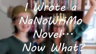 I Wrote a NaNoWriMo Novel Now What [upl. by Doscher]