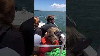 Family fishing Langebaan lagoon  FUN [upl. by Varhol460]