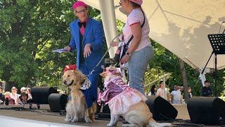 Dogs Got Talent at Canberra Floriade 2024 [upl. by Gennifer216]