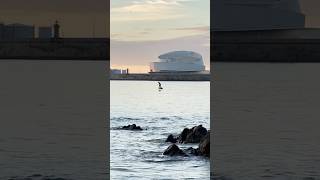 EFoil 4K Matosinhos Sunset matinhosbeach beach travel [upl. by Leid743]