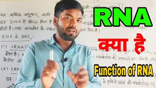 आर एन ए क्या है what is RNA Function of RNA ribos nucleic acid rna kya hota hai [upl. by Ahsataj265]