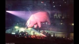 Pink Floyd LIVE  Cleveland 1977  Shine On You Crazy Diamond  Animals Tour [upl. by Arihsak]