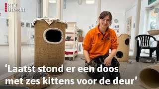 Dierenasiels zitten zo vol dat ze geen nieuwe katten meer toelaten  RTV Utrecht [upl. by Ireva]