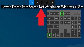 How to Fix the Print Screen Not Working on Windows 10 [upl. by Arabele]