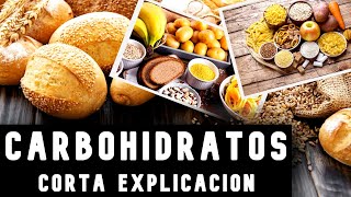 QUE SON LOS CARBOHIDRATOS [upl. by Hendricks]