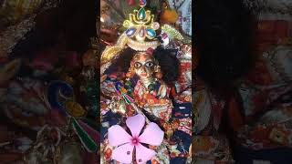 Janmaashtami kyo mnai jati kanhaiya laddugopal shyam radheradhe trendingshorts shortsfeed [upl. by Browne]