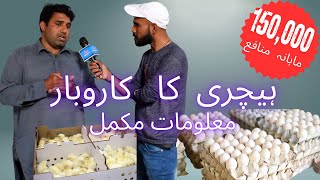 How to Start a hatchery business at Home in Pakistan  Ultimate Guideline for Beginners [upl. by Tattan]