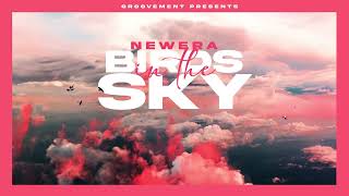 NewEra  Birds In The Sky [upl. by Yhtamit]