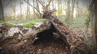 20 Minute Bushcraft Shelter REAL TIME [upl. by Eybbob1]