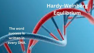 Hardy Weinberg equilibrium [upl. by Colet]