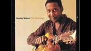 Muddy Waters  All Aboard [upl. by Annairt]