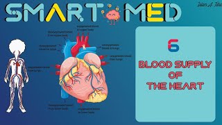 Blood supply of the heart [upl. by Shayna]