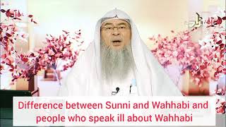 Difference between Sunni amp Wahabi and people who speak ill about Wahabis  Assim al hakeem [upl. by Eillehs58]