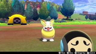 Yamper In Camp  Pokemon Sword amp Shield [upl. by Werdn]