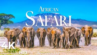 African Safari 4K • Wildlife Relaxation Film with Peaceful Relaxing Music and Animals Video Ultra HD [upl. by Ettenaj888]