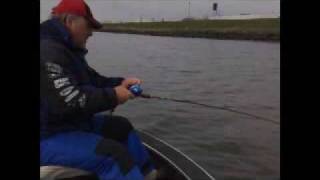 Test Berkley Paddle Tail Shad [upl. by Oilisab]