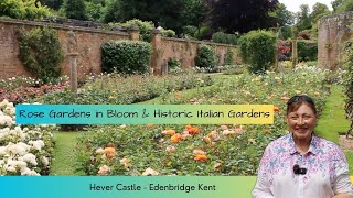 Hever in Bloom  celebrating over 4000 roses at the beautiful Historic Hever Castle in Kent [upl. by Eneirda]