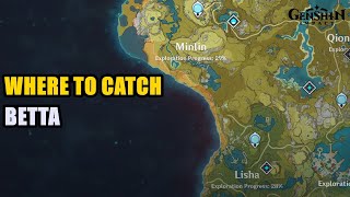 Where to Catch Betta Genshin Impact [upl. by Dylane986]