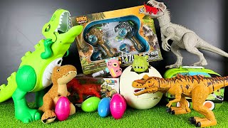 Jurassic World Unboxing Review Asmr Giant Green T Rex Indominus Rex Dinosaur Eggs Hatching [upl. by Aerdnat260]