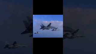 F 14 tomcar☠️ subscribe plane aviation airforces viralvideo trending funny viralvideo roblo [upl. by Barbette]