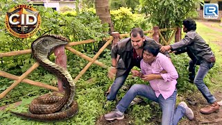 CID Team पर किया जब इतने बड़े सांप ने हमला  सीआईडी  Episode 1398 [upl. by Murial]