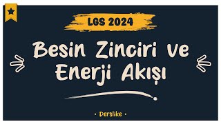 Besin Zinciri ve Enerji Akışı  LGS 2024 [upl. by Naujtna]