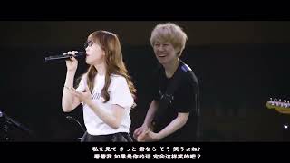 Aimer  AM 200  LIVE  in Budokan quotblanc et noirquot 2017 [upl. by Nesilla]