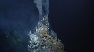 Giant Black Smoker Hydrothermal Vent  Nautilus Live [upl. by Anelrihs749]