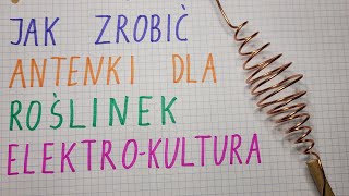 FMD57 Jak zrobić antenki dla roślinek czyli elektrokultura Podstawowy wzór antenek i co one dają [upl. by Pepito]