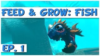 Feed and Grow Fish  Ep 1  Fish Feeding Frenzy  Feed and Grow Fish Gameplay [upl. by Dugaid]