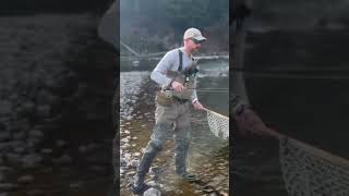 Bitterroot Cut flyfishing troutfishing trout [upl. by Cyndy]